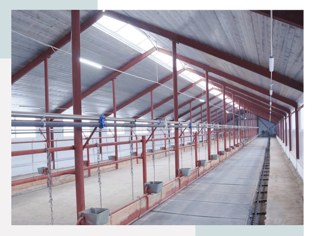 Строительство коровников в Темрюке от 618 руб.