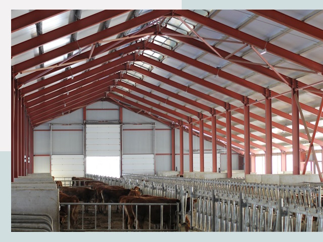 Строительство коровников в Темрюке