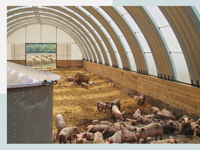 Строительство свинарников в Темрюке